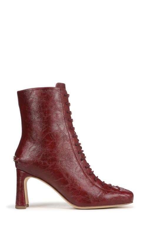 Circus Ny By Sam Edelman Kendra Block Heel Bootie In Burgundy