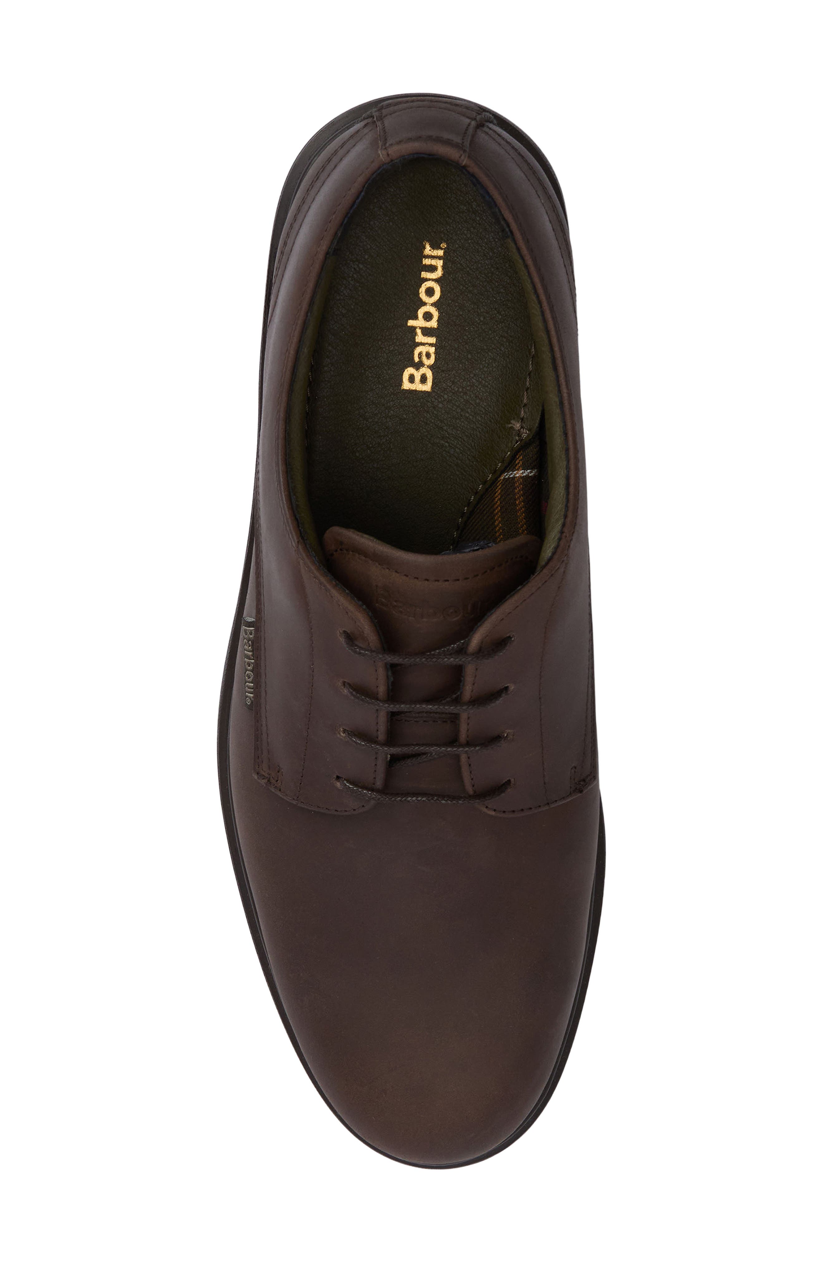 Carthy Plain Toe Derby, Alternate, color, DARK BROWN