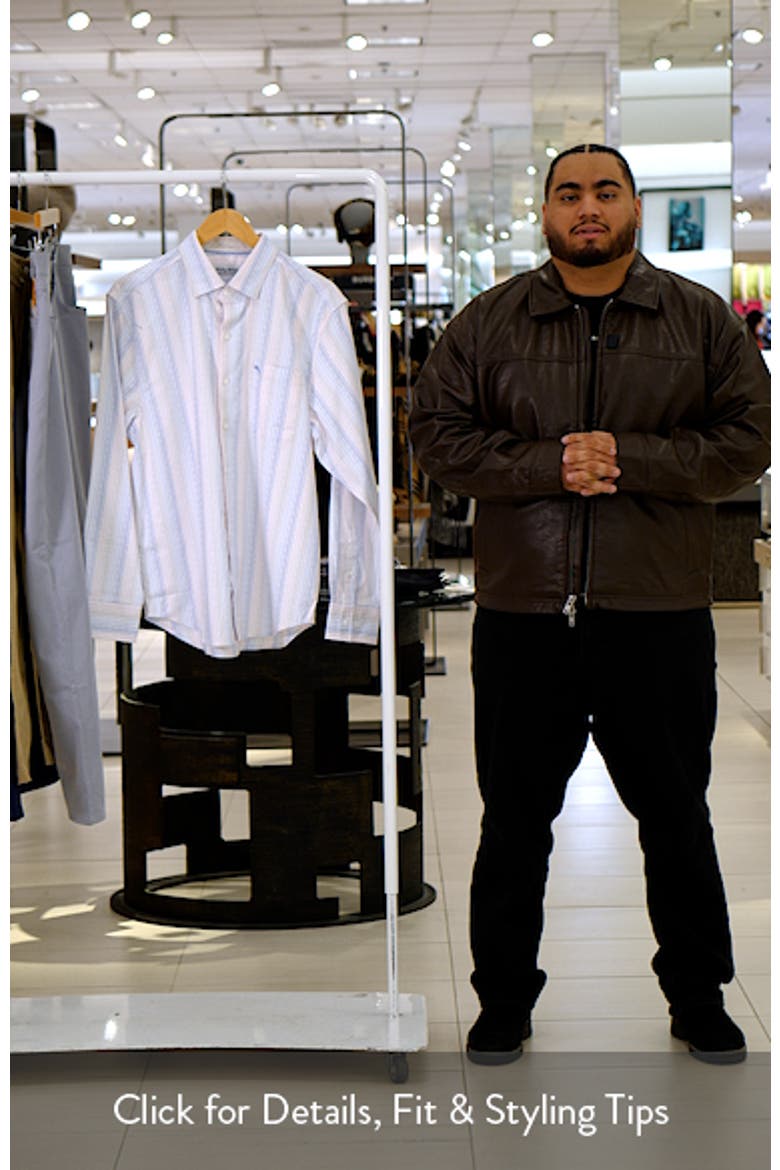 Sarasota Stretch Villa Stripe IslandZone® Button-Up Shirt video