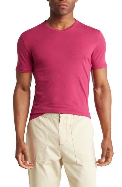 Solid V-Neck T-Shirt