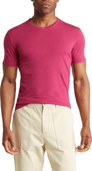 T.R. PREMIUM Solid V-Neck T-Shirt
