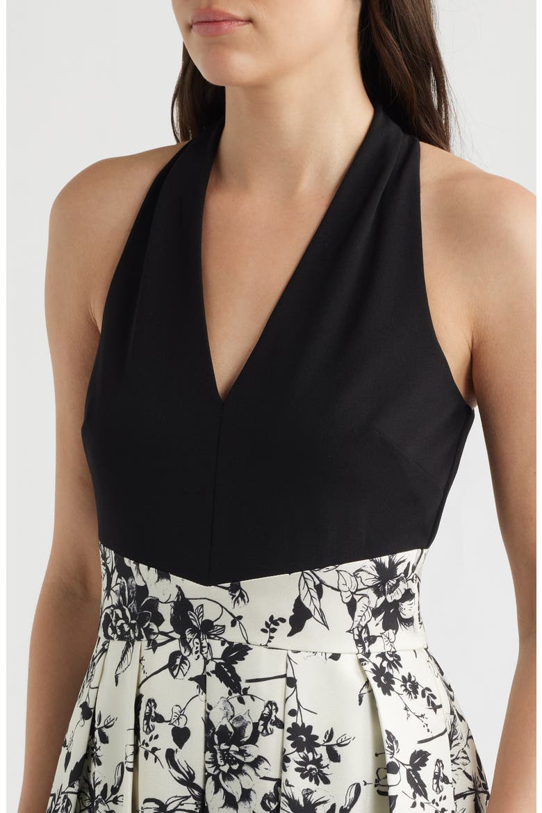Print Pleated Sleeveless Gown, Alternate, color, BLACK MULTI
