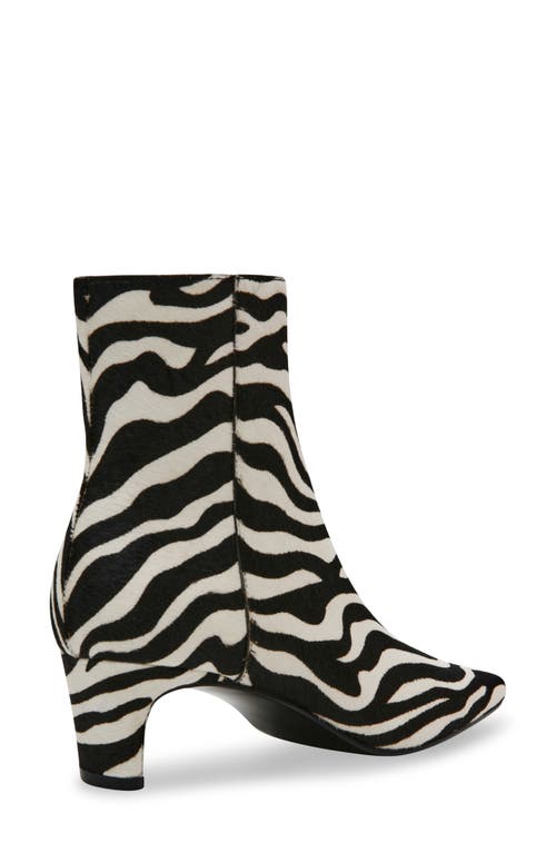 Steve Madden Delvie Zebra Faux Calf Hair Bootie In Zebra