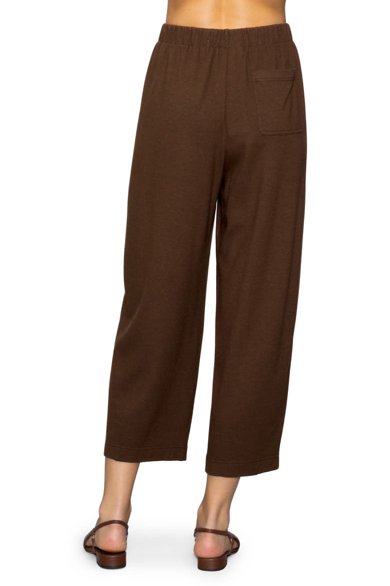 Brushed Crop Pants, Alternate, color, CHOCOLATE