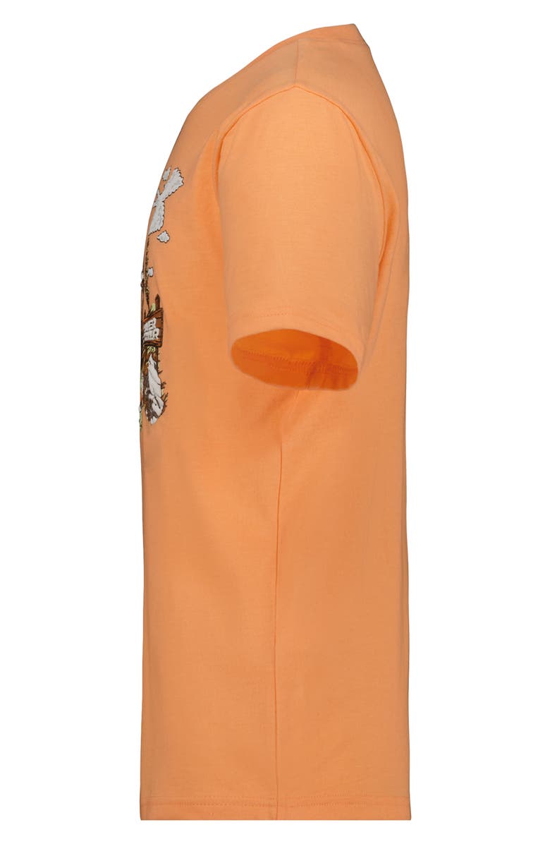 Under Armour Kids' Scenic Trail Graphic T-Shirt, Alternate, color, Orange Heather