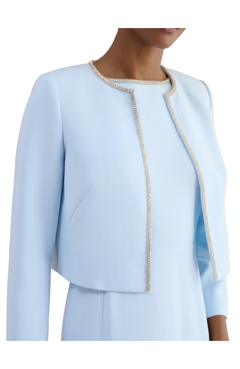 HOBBS LONDON Beatrix Embellished Jacket, Main, color, Pale Blue