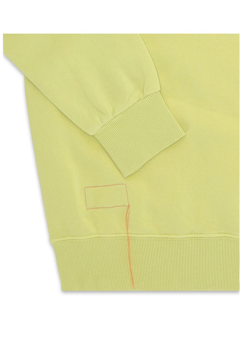 Harvard Fleece Jersey Raglan Sleeve Sweatshirt, Alternate, color, Lemon Yellow