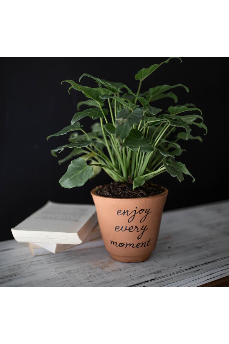 "Enjoy Every Moment" Cursive Terracotta Planter Pot 5.25", Alternate, color, Brown