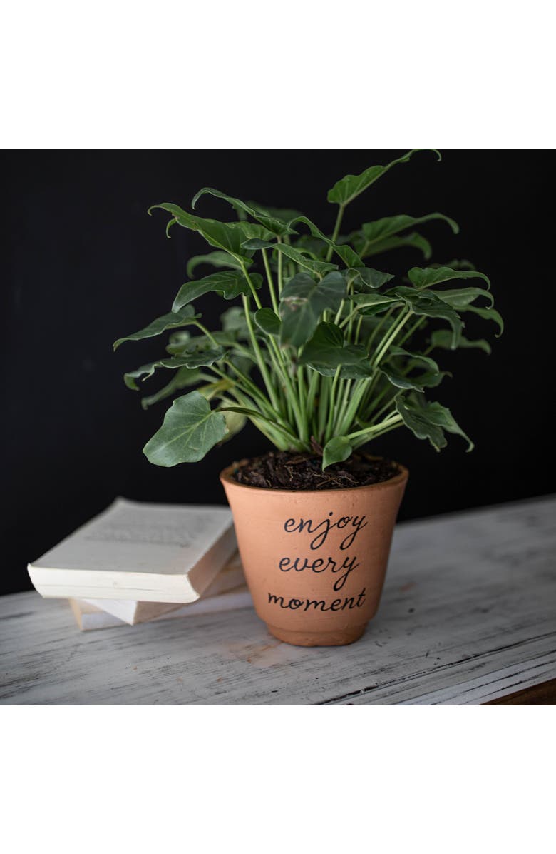 Foreside Home and Garden "Enjoy Every Moment" Multi Terracotta Planter, Alternate, color, Brown