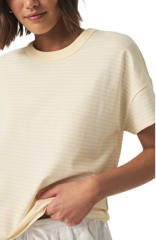 Splendid Astrid Stripe Boxy Ringer T-shirt