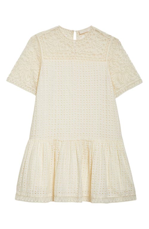 Shop Ulla Johnson Gabi Soutache Lace Detail Cotton & Silk Eyelet Minidress In Ivory
