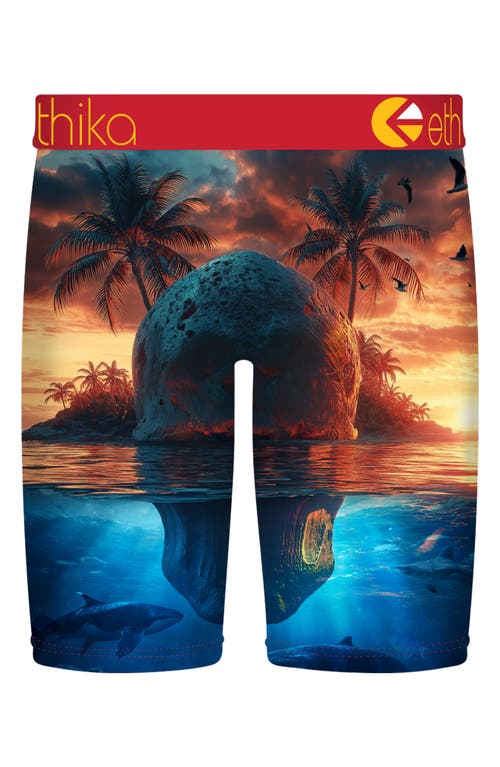 Ethika Kids' Skol Island Boxer Briefs In Multi