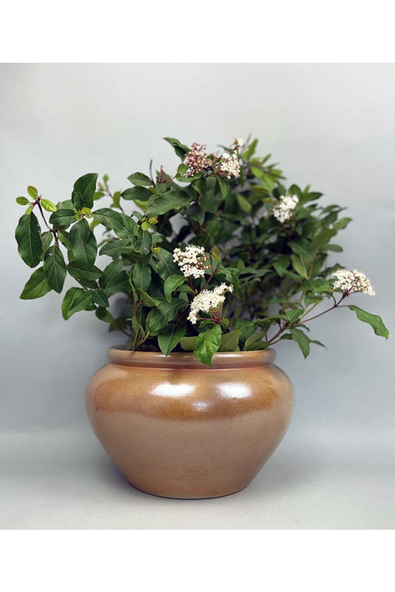 Vintage Bonny sur Loire Low Pot 1, Alternate, color, Red