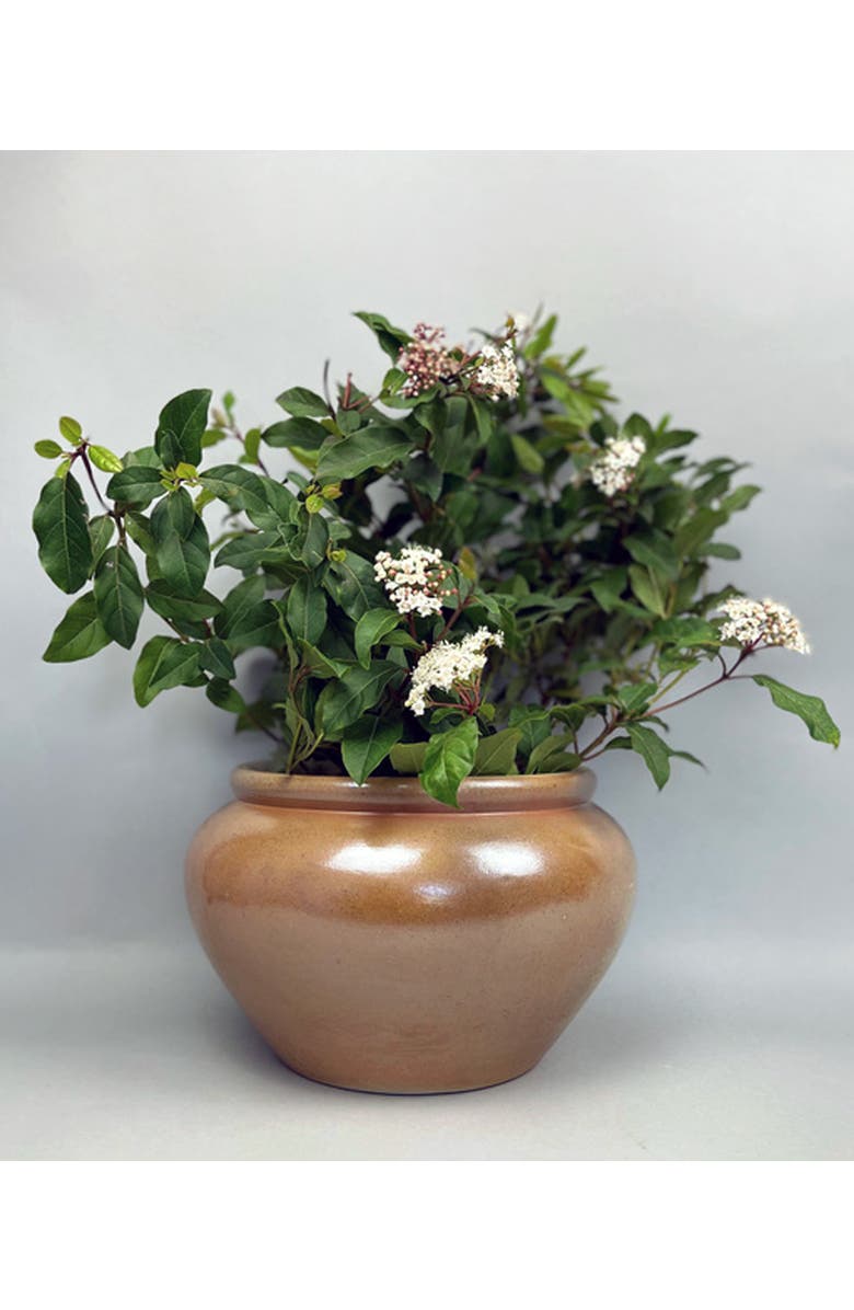 Une Vie Nomade Vintage Bonny sur Loire Low Pot 1, Alternate, color, Red