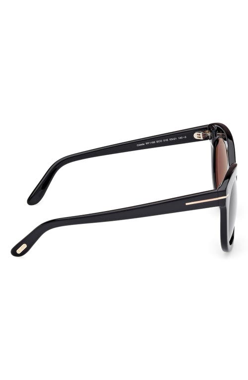 Tom Ford Odette Round Acetate Sunglasses In Black Eco/t Logo/brown