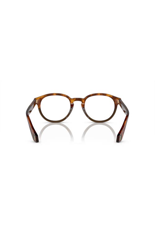 Giorgio Armani 50mm Phantos Optical Glasses In Brown