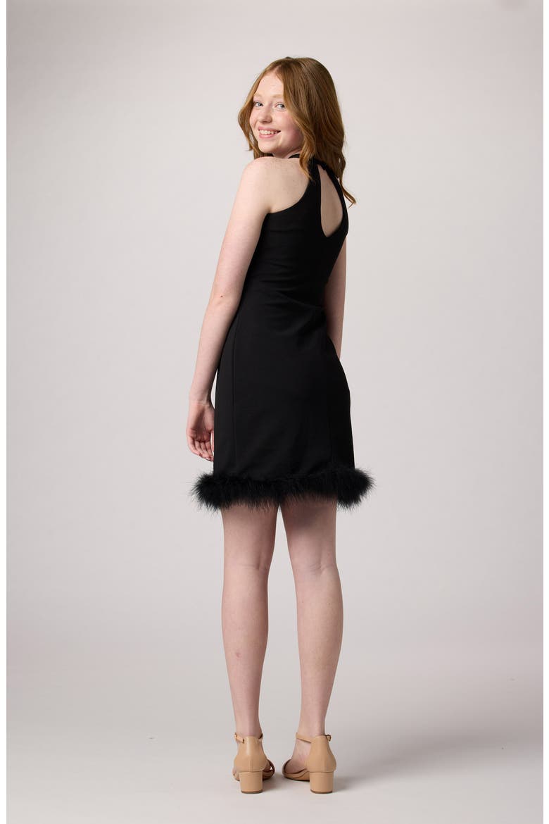Raglan Halter Dress with Feathers, Alternate, color, BLACK
