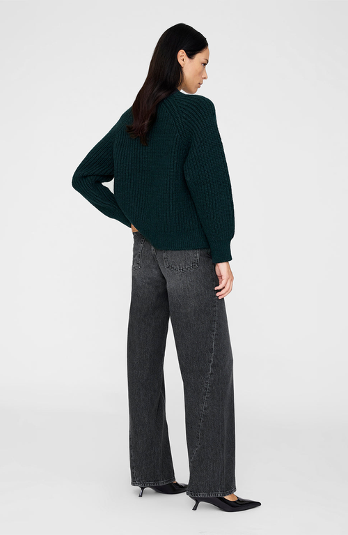 Anine Bing Kendrick Sweater In Green
