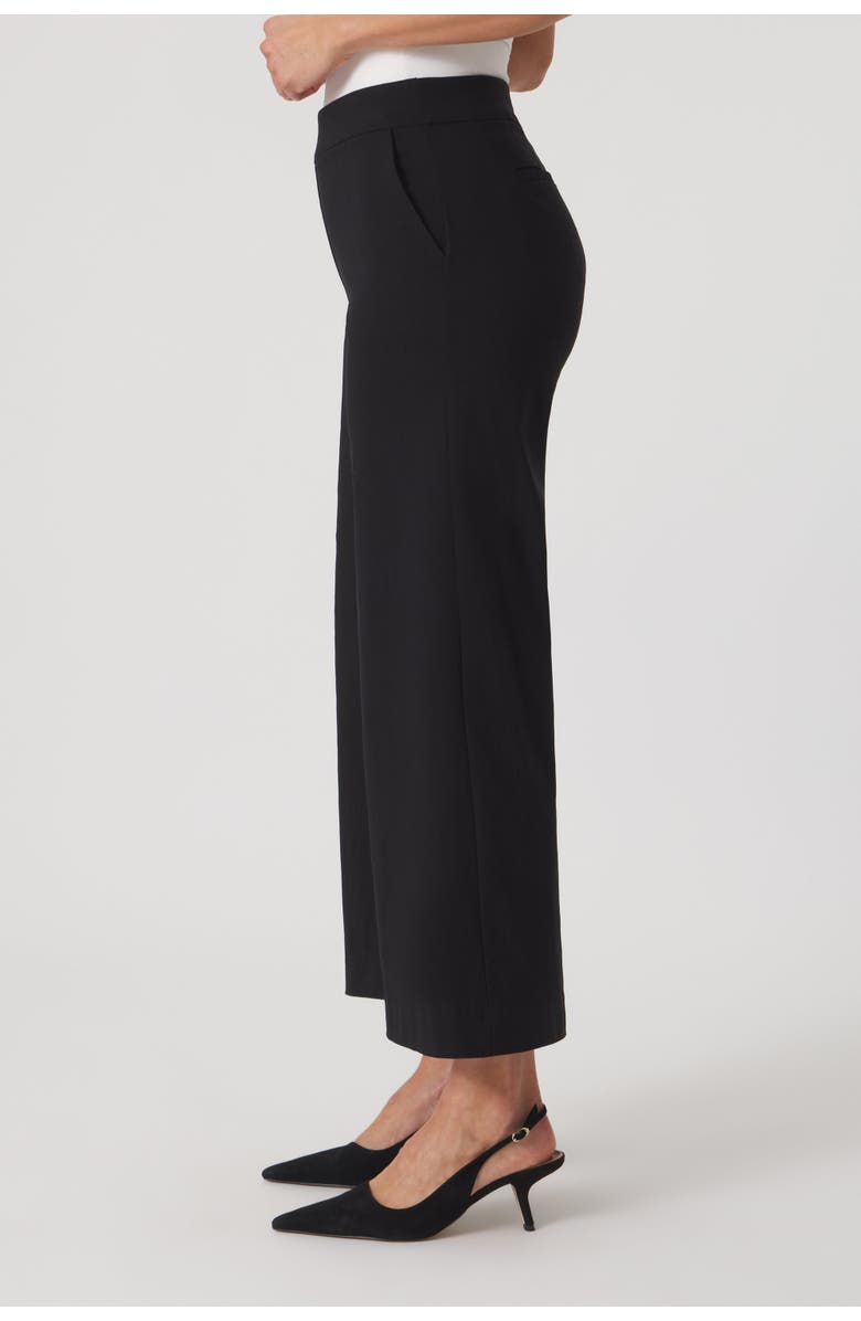 Franne Golde Catalina Stretch Cropped Wide-Leg Pant, Alternate, color, Black