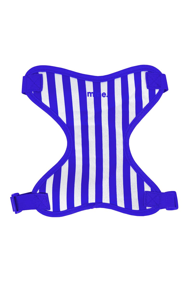 Cabana Stripes Dog Harness, Main, color, BLUE