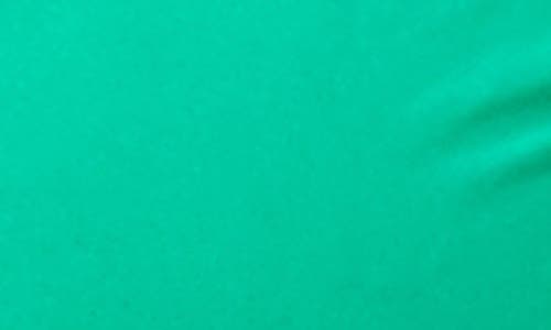 L*space Monica Bikini Bottom In Jade In Jade