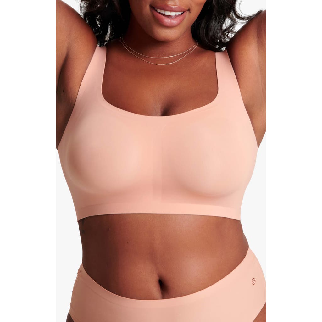 Evelyn & Bobbie The Bobbie Scoop Bra In Brown
