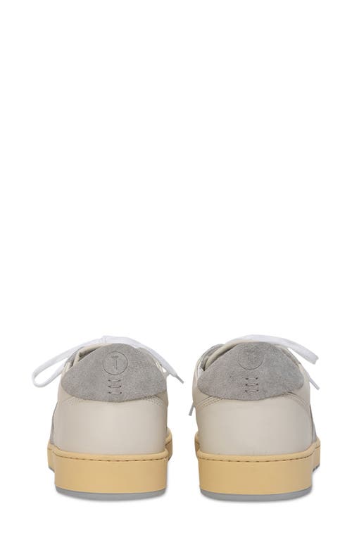 Collegium Pillar Destroyer Low Top Sneaker In Neutral
