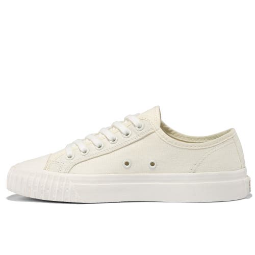 Pf Flyers P.f. Flyers Center Low-top Sneaker In Gray