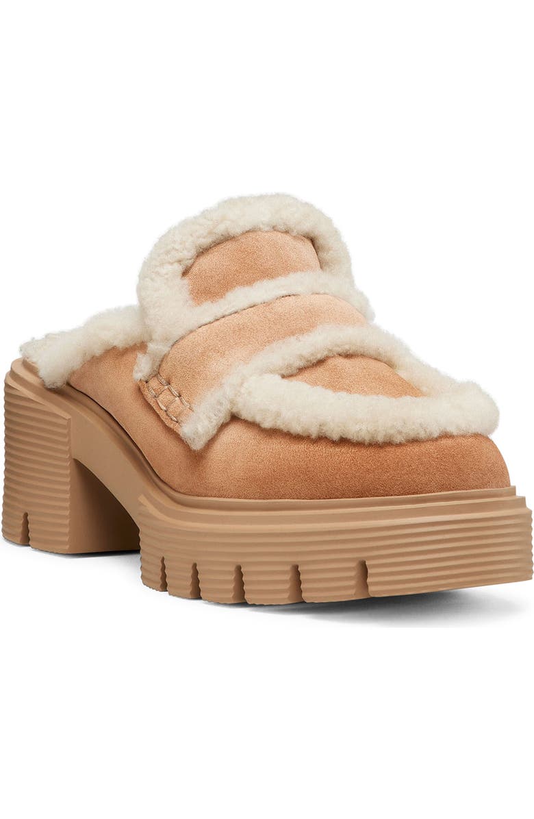 Stuart Weitzman Lennox Genuine Shearling Trim Platform Loafer, Main, color, New Camel/ Natural/ Caramel