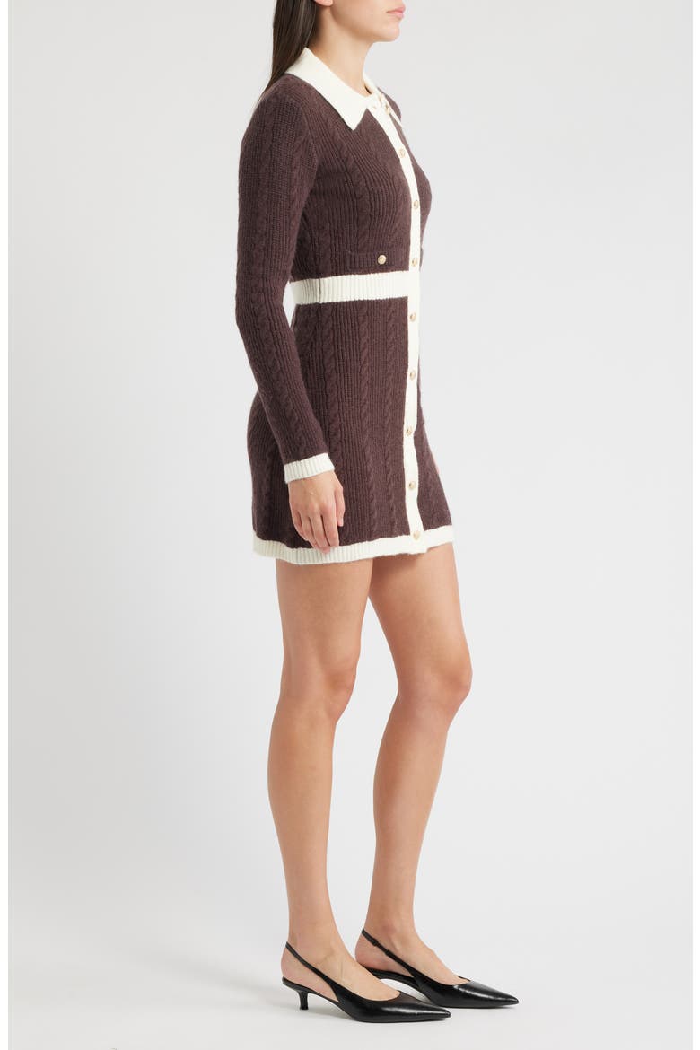 Long Sleeve Cable Stitch Sweater Dress, Alternate, color, BROWN/ IVORY