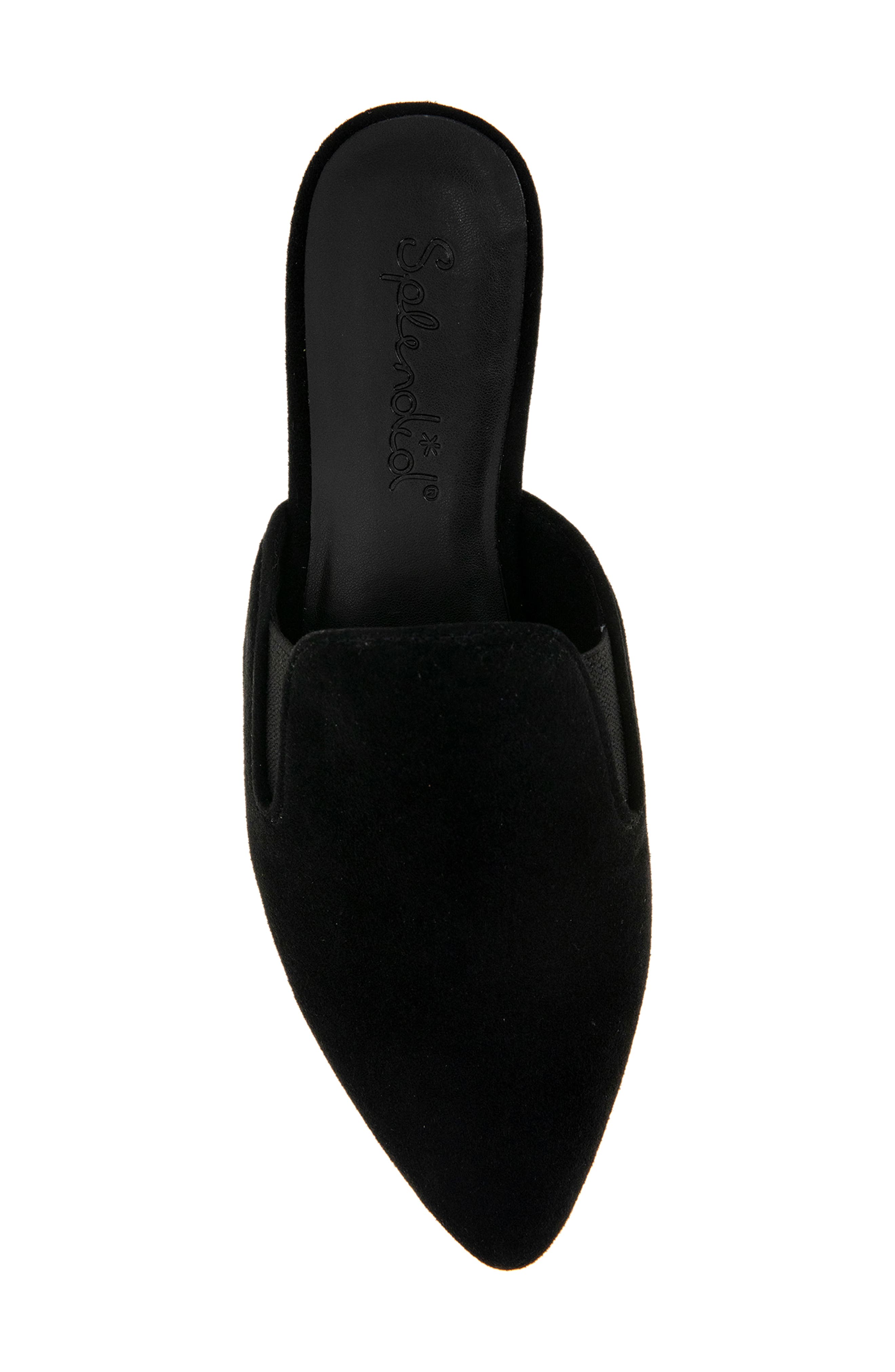 Splendid Liza Pointed Toe Mule, Alternate, color, Black Suede