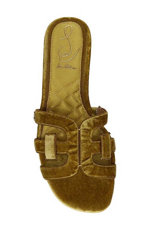 Shop Sam Edelman Bay Honore Slide Sandal