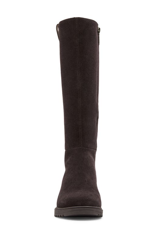 Blondo Colorado Waterproof Knee High Riding Boot In Animal Print