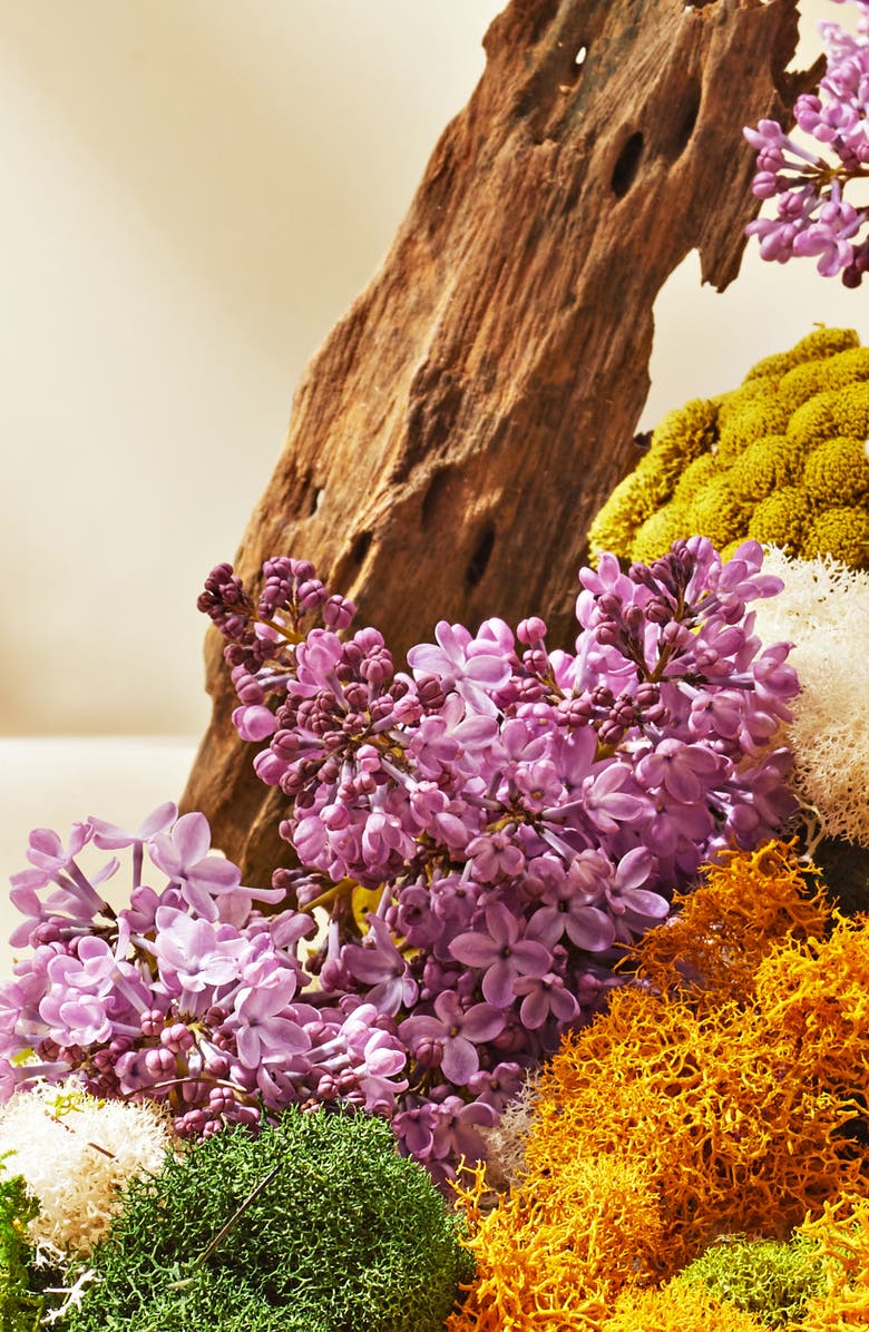 APOTHEKE x Pura 4 Smart Fragrance Diffuser & Refill Set, Alternate, color,