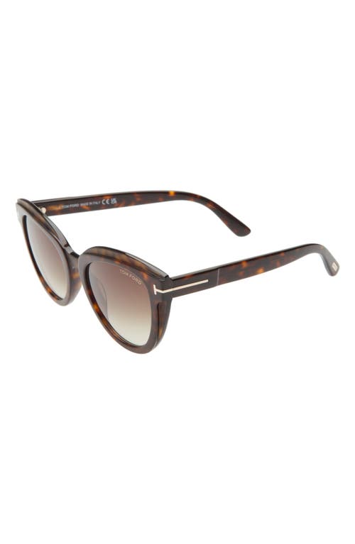Tom Ford Tori 53mm Cat Eye Sunglasses In Brown