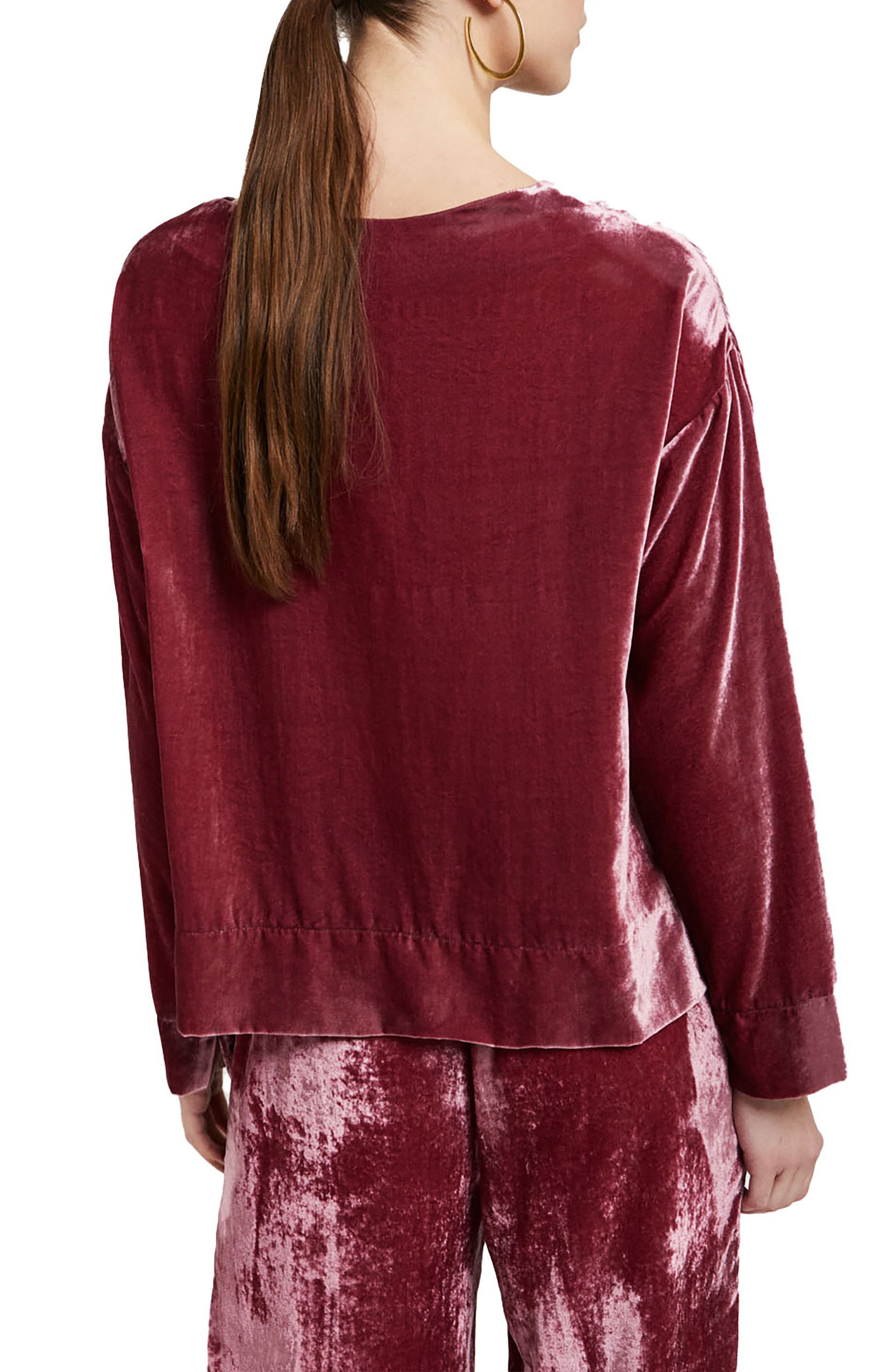 Soft Velvet Blouse - image 4