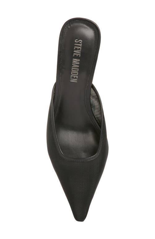 Steve Madden Lisbeth Pointed Toe Mule