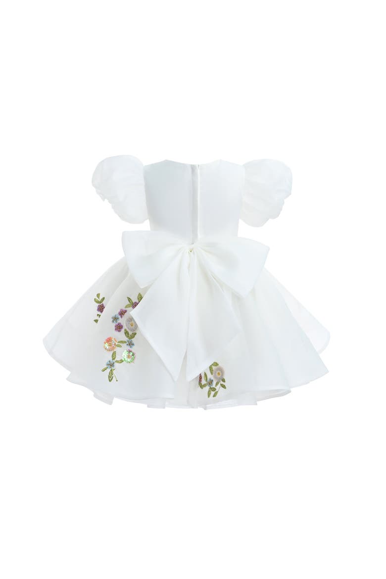 Embroidered Puff Sleeve Dress, Alternate, color, White