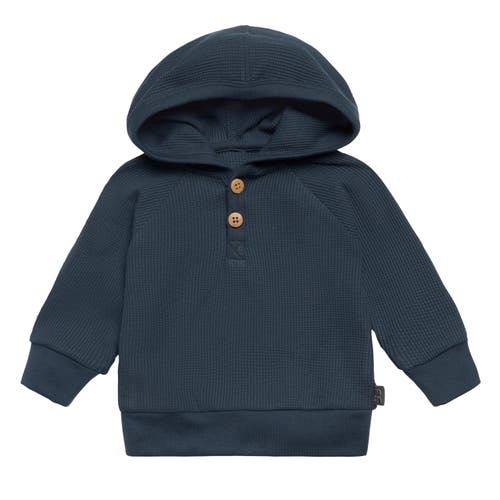 Modern Moments™ By Gerber Hoodie & Pant Set In Navy