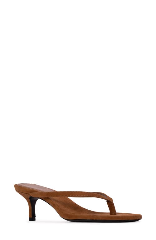 Black Suede Studio Tash Suede Thong Slide Sandals In Tobacco Suede