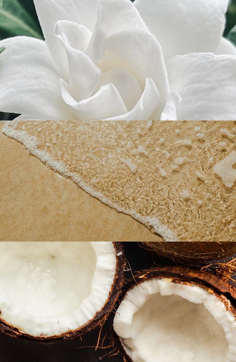 House of Bo La Mar Parfum, Alternate, color,