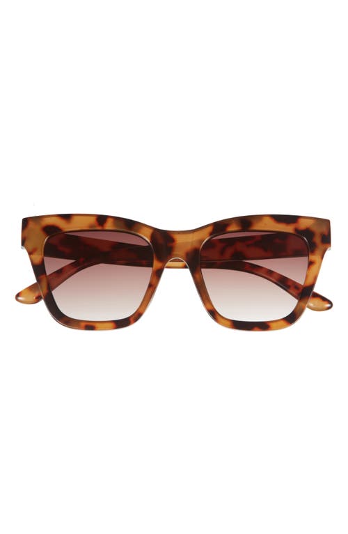 Bp. Gradient Chunky Cat Eye Sunglasses In Tortoise