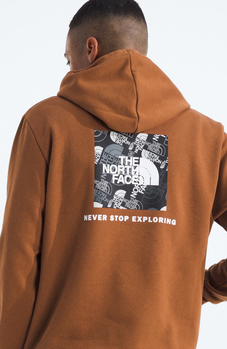 The North Face Evolution Graphic Hoodie, Alternate, color, Burnt Umber
