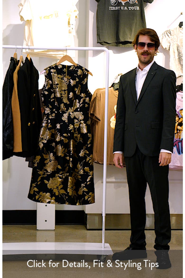 Metallic Jacquard Sleeveless Fit & Flare Dress video