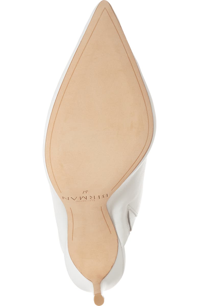 Alexandre Birman Amaliah Pointy Toe Mule, Alternate, color,