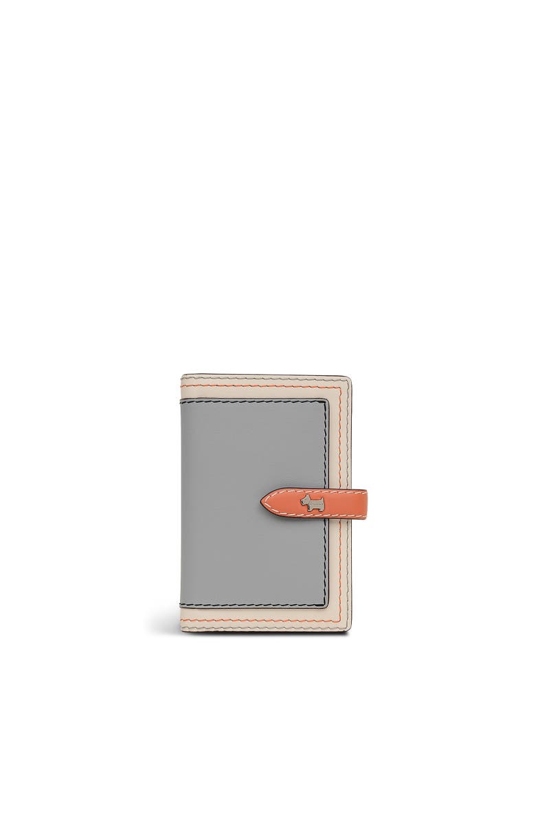Radley Willis Street - Colourblock    Passport Cover, Main, color, Steel
