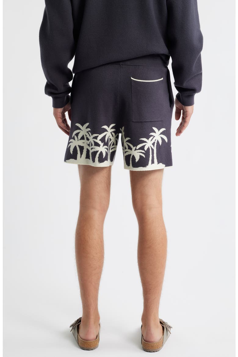 Palm Beach Knit Shorts, Alternate, color, GREY