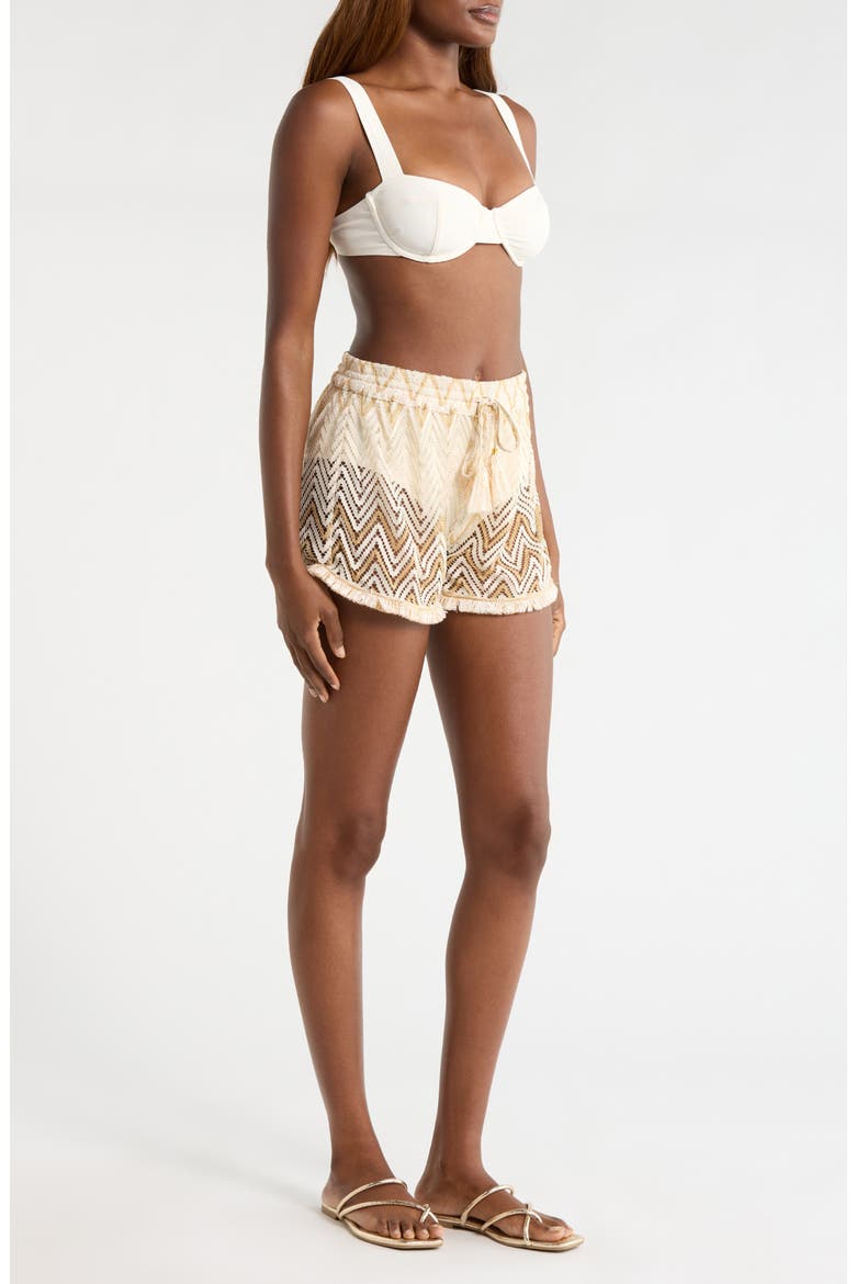 Chevron Duke Drawstring Cover-Up Shorts, Alternate, color, SANDSTONE CHEVRON