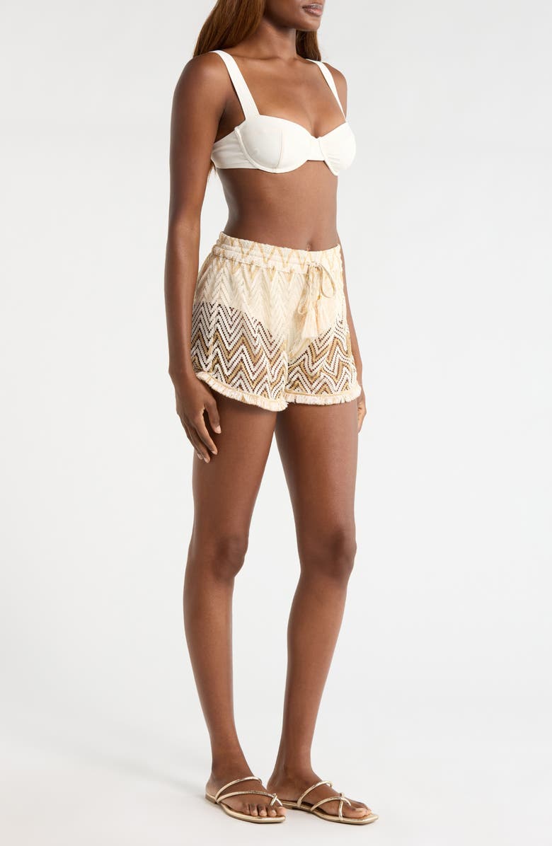 Ramy Brook Chevron Duke Drawstring Cover-Up Shorts, Alternate, color, Sandstone Chevron