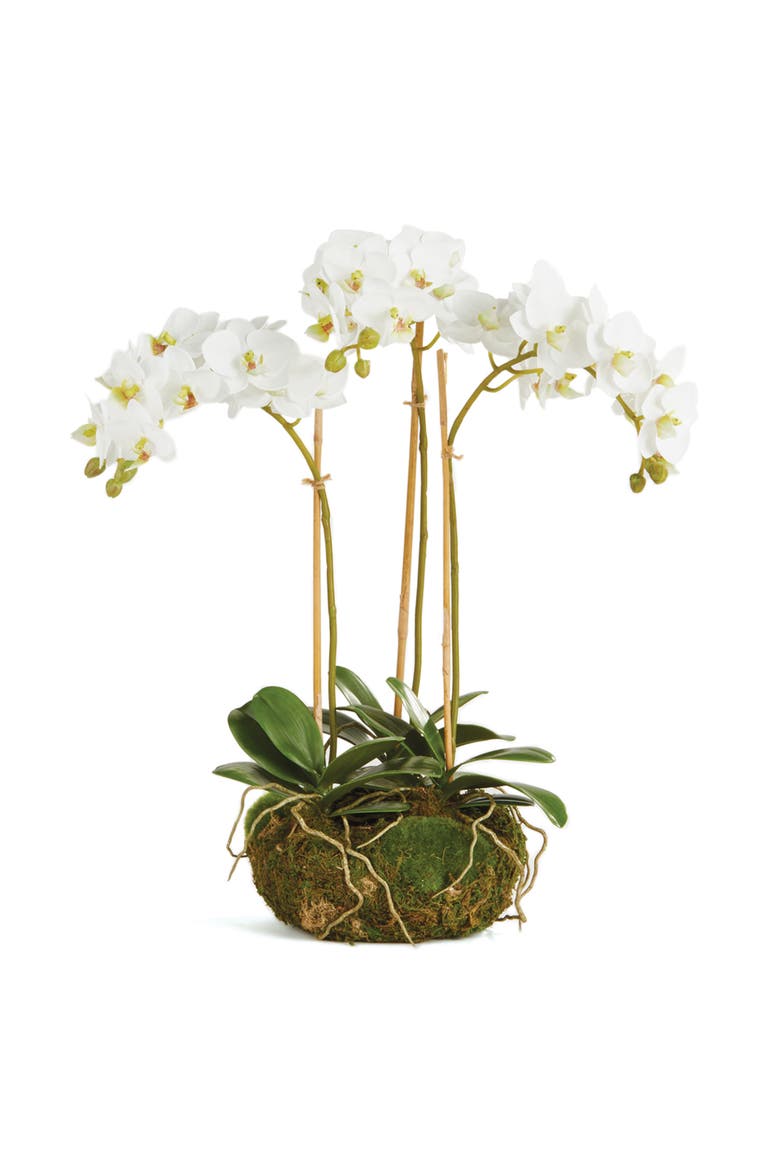 Phalaenopsis Orchid Faux (Fake) Mini Garden Drop-In 16", Main, color, White